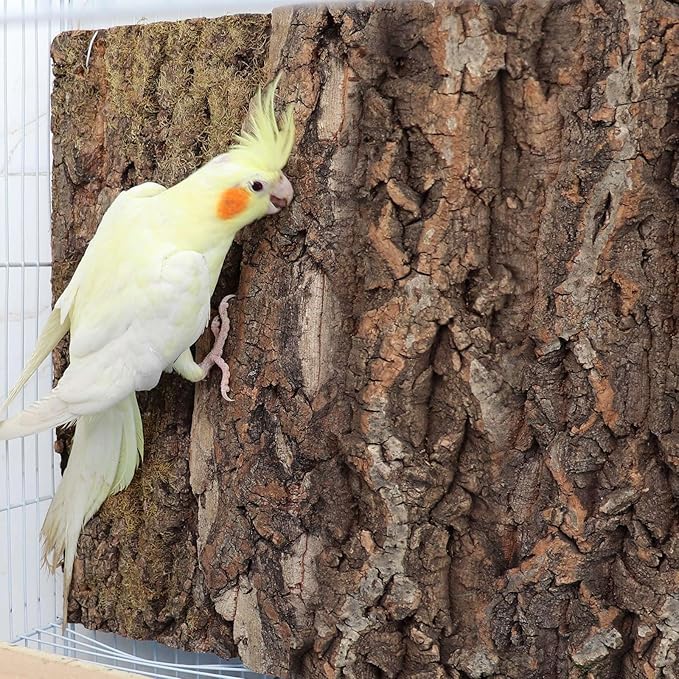 4 Pack Natural Cork Bark Bird Perch Stand, 15.7 × 11.8 inch Parrot Chewing Toys, Birdcage Background Decor Accessories, Bark Toy for Budgie Parakeet Cockatiel Lovebirds Conures Hamster Guinea Pig Rat-PawvioPets