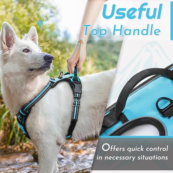 Eagloo Dog Harness for Large Dogs, No Pull Service Vest with Reflective Strips and Control Handle, Adjustable and Comfortable for Easy Walking, No Choke Pet Harness with 2 Metal Rings, Sky Blue, L-PawvioPets