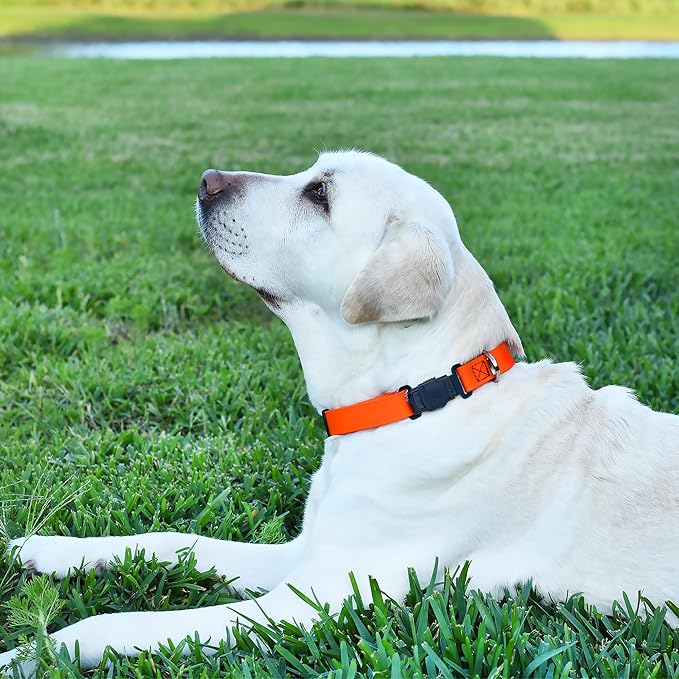 Dogline Biothane Waterproof Dog Collar with Herm Sprenger Black Stainless Steel Quick Release Buckle – Heavy Duty Tactical Durable Collar for Dogs – Comfortable and Safe Pet Collar W1 L 15-25" Orange-PawvioPets