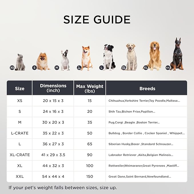 Bedsure Dog Beds Large Sized Dog - Extra-Large Orthopedic Waterproof Puppy Bed with Removable Washable Cover, Egg Crate Foam Pet Mat, Suitable for Pet Up to 100 lbs-PawvioPets