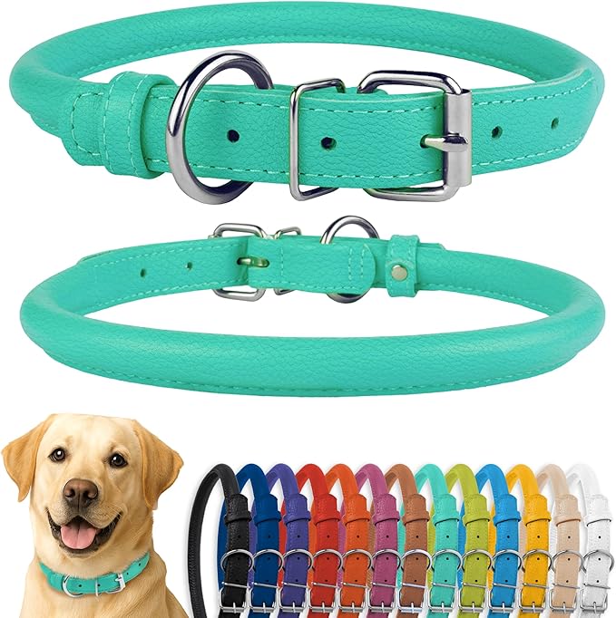 CollarDirect Rolled Leather Dog Collar, Soft Padded Round Puppy Collar, Handmade Genuine Leather Collar Dog Small Large Cat Collars 13 Colors (15-19 Inch, Mint Green Textured)-PawvioPets