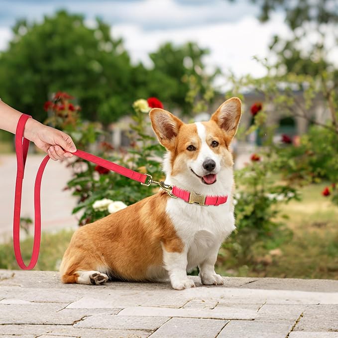 Didog Soft PU Leather Dog Collar, Stylish Quick Released Dog Collars for Medium Dogs, Easy Clean Adjustable Pet Collar for Daily Walking, Red, M Fit 13-21" Neck-PawvioPets