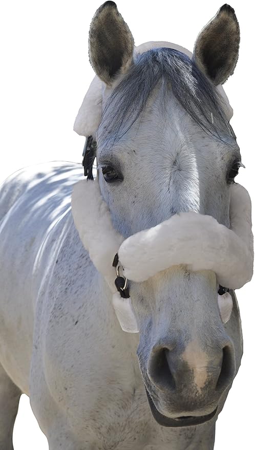 ECP Equine Comfort Products Merino Sheepskin Halter Fleece Set for Horses, 100% Natural Wool, Chafe Protection, Breathable Relief & Cushioned Comfort, Machine Washable, 6-Piece Set-PawvioPets