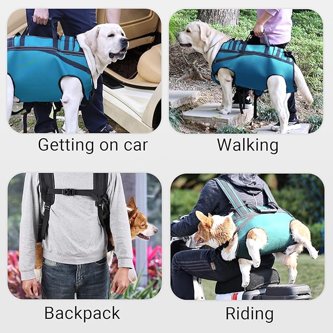 Dog Lift Harness Backpack Carrier for Large Dogs, Full Body Sling with Handle, Dog Harness for Joint Injuries, Arthritis, Ideal for Stairs, Elderly Dogs (Blue XX-Large 50-66 LBS)-PawvioPets