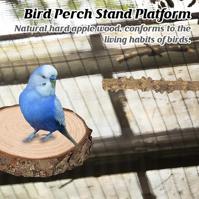 6Pcs Natural Wooden Bird Perch Grape Stick Claw Grinding Fork Bird Perching Branch Claw Grinding Stick Parrot Standing Platform Parrot Cage Chewing Accessories for Parrots Lovebirds Parakeets-PawvioPets