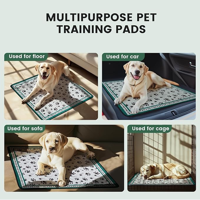 Gardner Pet Washable Dog Pee Pads, 36'' x 36'' Non Slip Dog Mats with Great Urine Absorption, Reusable Puppy Pee Pads for Potty Training - 2 Pack-PawvioPets