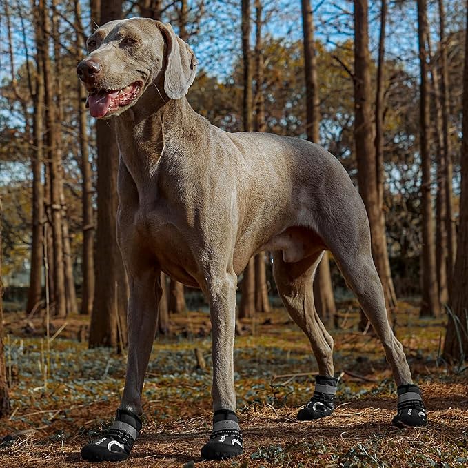 Dog Shoes, Waterproof Dog Boots & Paw Protectors with Anti-Slip Sole, 4pcs/Set Pet Dog Booties, Reflective Dog Shoes for Small Medium Large, Winter Snowy Summer Hot Pavement (Black, 3# (XS))-PawvioPets