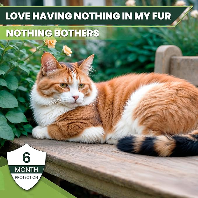 Flea and Tick Prevention for Cats: Flea & Tick Topical for Cats Over 1.5lbs, 6 Dose Flea and Tick Control/Prevention for 6 Months (6 Pack)-PawvioPets