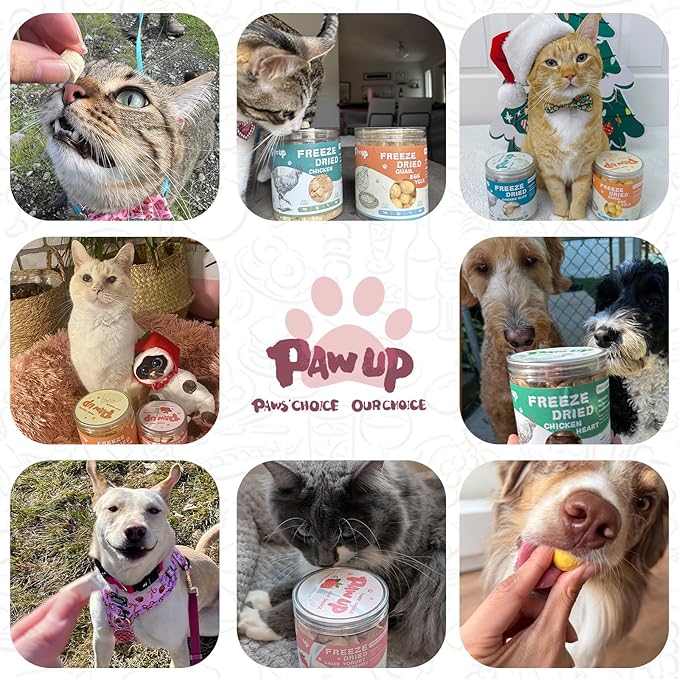 Freeze Dried Sheep Milk Yogurt Flavor with Strawberry,Gentle Sheep Milk Dog Treats for Sensitive Stomachs Puppies, 2.8 oz-PawvioPets