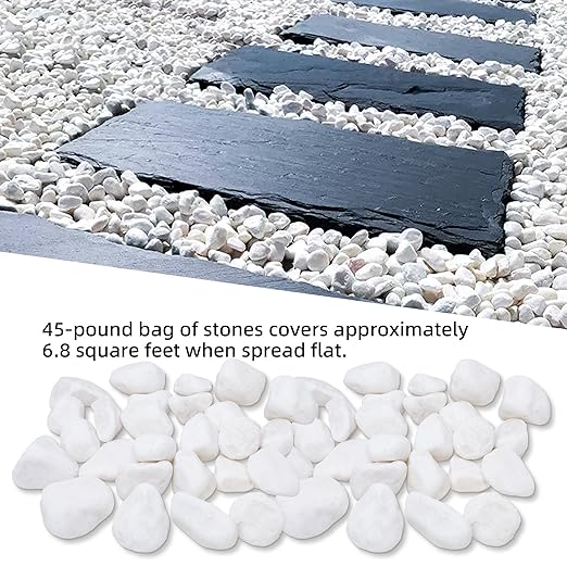 45LB 1"-2" White River Rocks for Plants, Polished Pebbles for Garden Landscaping, Planters, Aquariums, Vase Fillers – Indoor & Outdoor Decor-PawvioPets