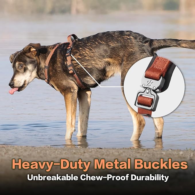 CLEPAWS Dog Harness for Medium Dogs, No Pull Dog Harness Easy Walk with Metal Hardware, Ergonomic Y-Shaped Design, Soft Padding, Padded Handle, Durable High-Tensile Nylon (Canyon Red, M)-PawvioPets