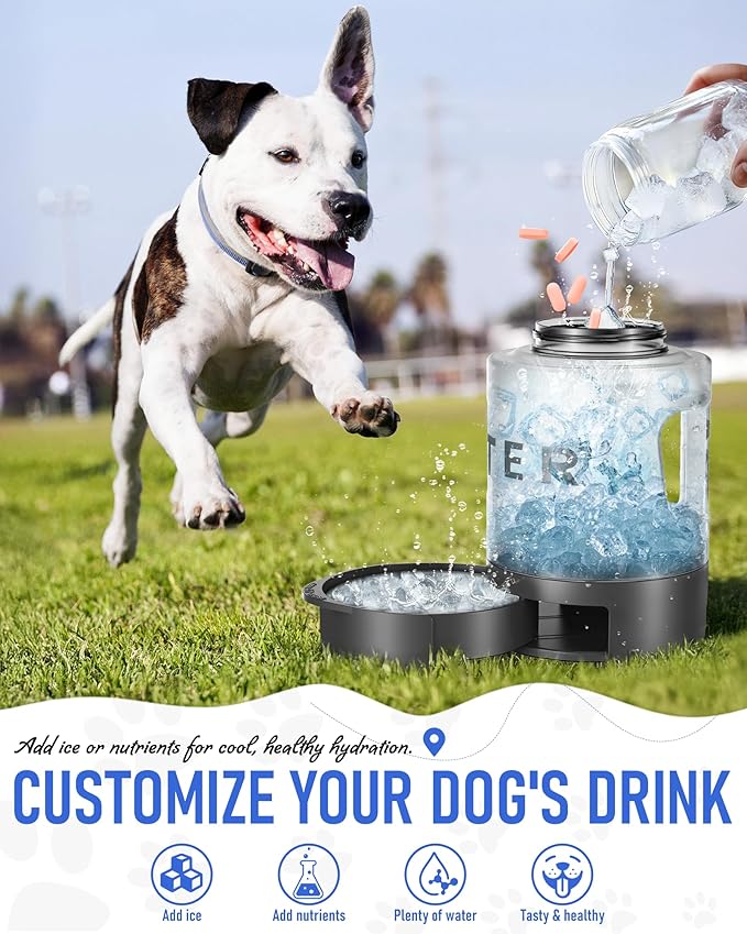 Dog Water Bottle Travel Bowl, 77oz Large Portable Dog Water Bowl Dispenser, Leakproof Pet Drinking Bottle Dispenser for Hiking Camping Walking Travelling Beach Car Trips, BPA Free, Black-PawvioPets