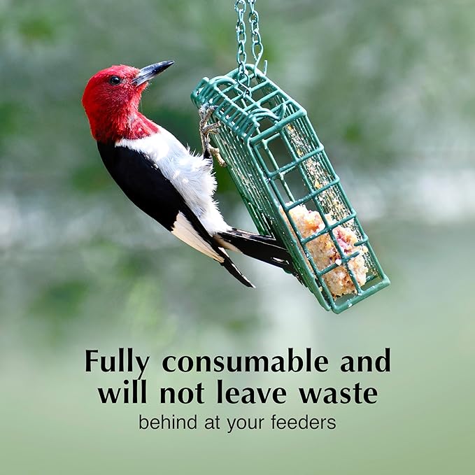 C&S High Energy Delight No Melt Suet Dough, Suet Cakes for Wild Birds, 11 Ounces, Pack of 8-PawvioPets