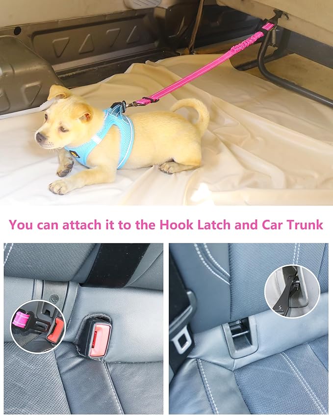 AUBELL Dog Seat Belt for Car,Updated 3-in-1 Adjustable Reflective Bungee Heavy Duty Dog Car Harness Tether with Clip Hook Latch & Buckle,Swivel Zinc Alloy Carabiner,Hotpink-PawvioPets