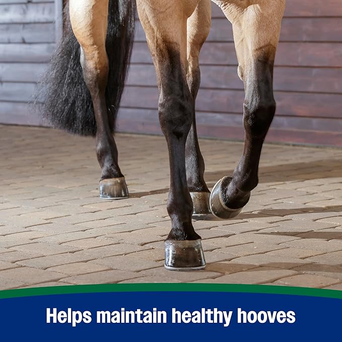 Farnam Horseshoer's Secret Pelleted Hoof Supplement for horses promotes healthy hoof growth, 22 lb., 60 day supply-PawvioPets