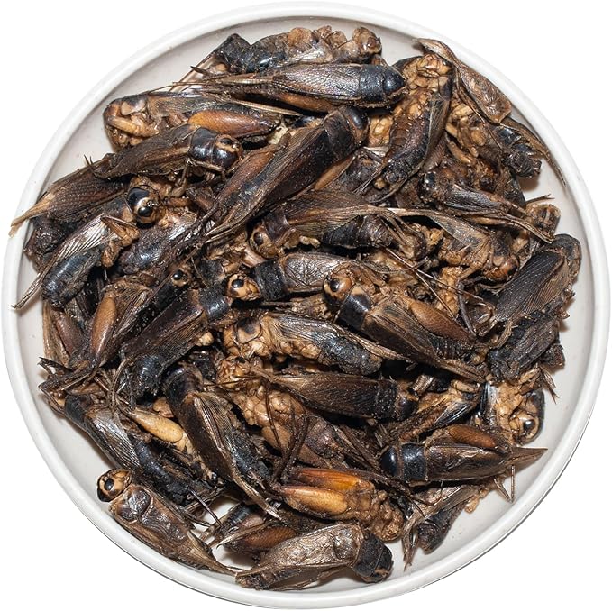 Freeze Dried Crickets – 4.5 Oz High Protein Freeze Dried Crickets, Food for Reptiles, Bearded Dragons, Lizards, Geckos, Birds, Fish,Hedgehogs, Bearded Dragon Food-PawvioPets