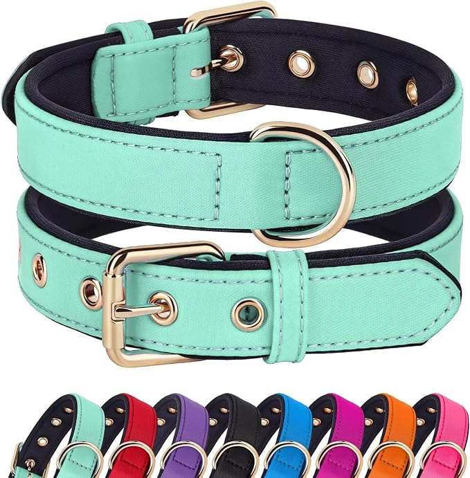 Didog Soft Padded Dog Collars for Small Dogs, Lightweight and Breathable Dog Collar with Metal Buckle for Puppy, Green, S-PawvioPets