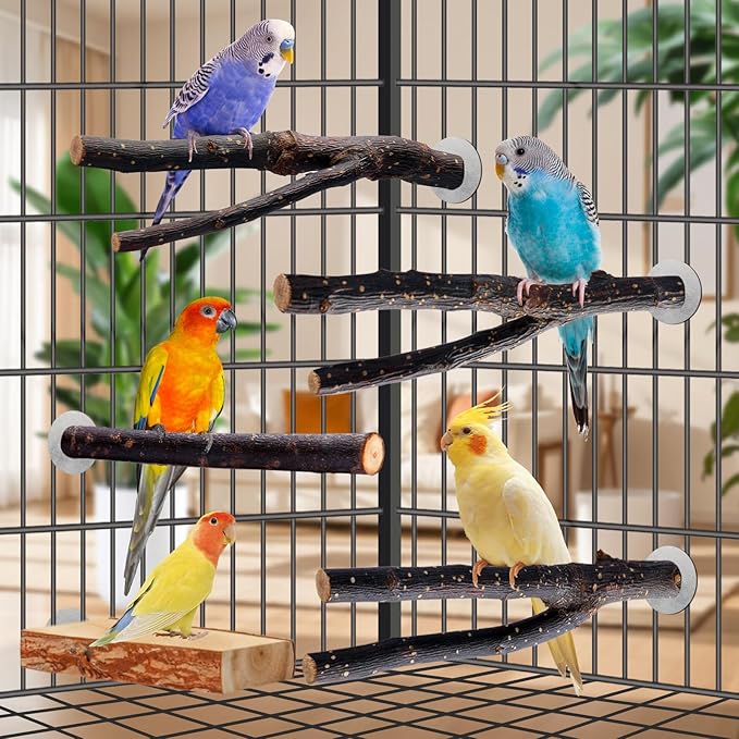 Bird Toys Parakeet Perch Budgie Perch Wood Stand Fork Toys Multi-Branch Perch Platform Toy for Small Conures,Cockatiel,Parrotlet,Lovebird,Parrot,Finches-PawvioPets
