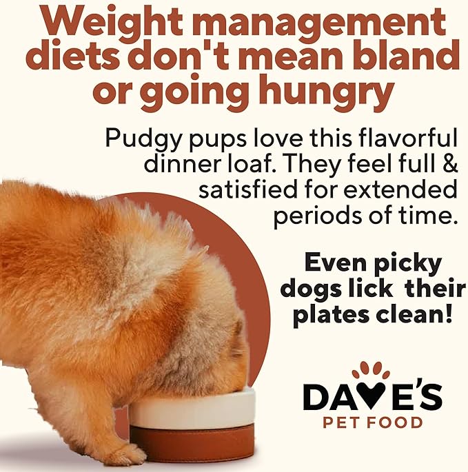 Dave's Pet Food Weight Management Dog Food (Turkey & Vegetables), Made in USA, Weight Loss, Soft, Canned Wet, 13.2oz (12 Pack)-PawvioPets