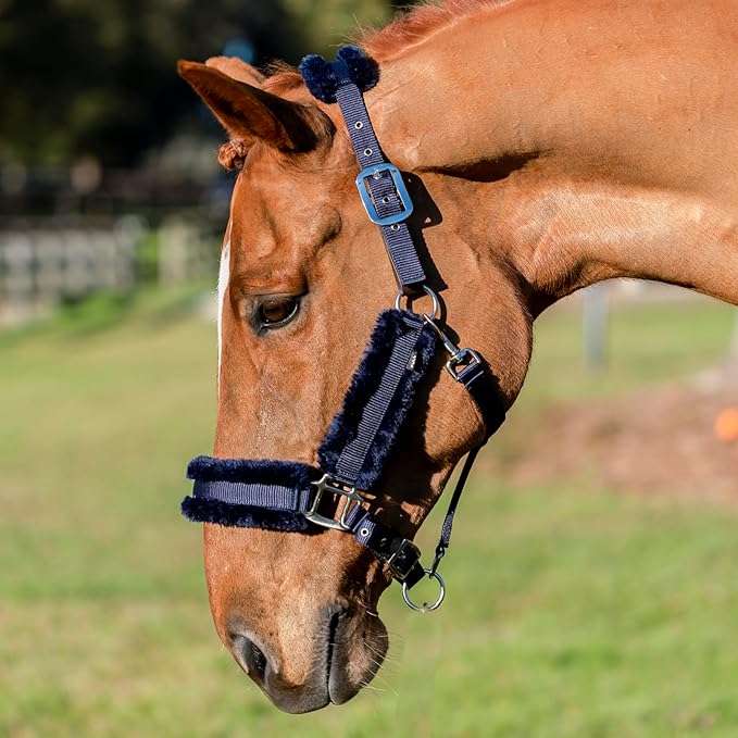 Equinavia Valkyrie Soft Ultra Fleece Padded Adjustable Breakaway Horse Halter - Navy/Navy - Horse-PawvioPets