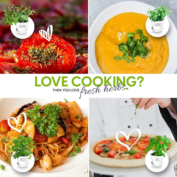 Deluxe Indoor & Outdoor Herb Garden Kit – 8 or The Most Popular Culinary Herbs with Pots & Soil for Windowsill or Patio Growing-PawvioPets