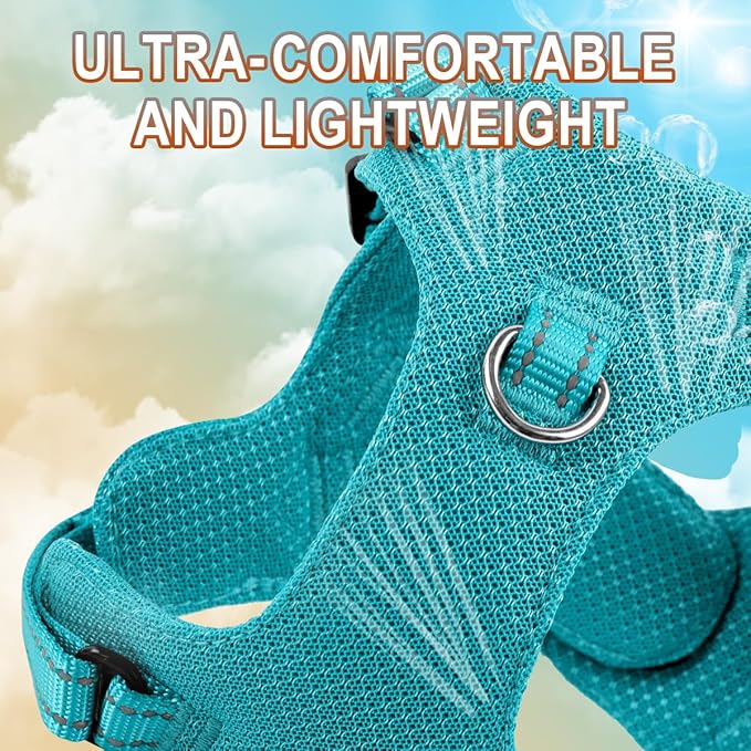 Dog Harness Step in Dog Vest Harness, Reflective Adjustable Puppy No Pull Harness Breathable Soft for Small and Medium Dogs Cats, Ocean Blue, XS-PawvioPets