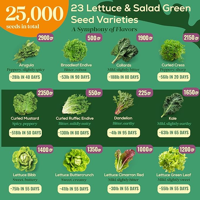23 Lettuce & Salad Greens Seeds Variety Pack - 25,000+ Non-GMO Heirloom Greens Seeds for Planting Lettuce Indoor & Outdoor: Arugula, Mizuna, Kale, Spinach, Swiss Chard, Mache & More Lettuce Seeds-PawvioPets