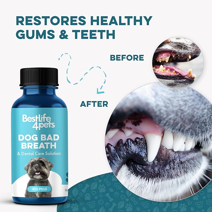 Dog Dental Care & Bad Breath Remedy, Natural Dog Oral Care for Healthy Teeth, Mouth & Gums, Daily Canine Breath Freshener, Plaque, Tartar Control Helps Reduce Gingivitis, Easy to Use 800 Tiny Pills-PawvioPets