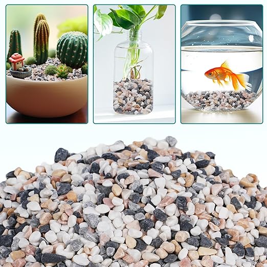 5 lbs Small Rocks for Succulents, 1/5 Inch Pebbles for Indoor Plants, Decorative Pea Gravel for Terrarium, Vases, Aquariums, Fish Tank, Drainage Rocks for Potted Plants, Bamboo,Crafts, Cactus-PawvioPets