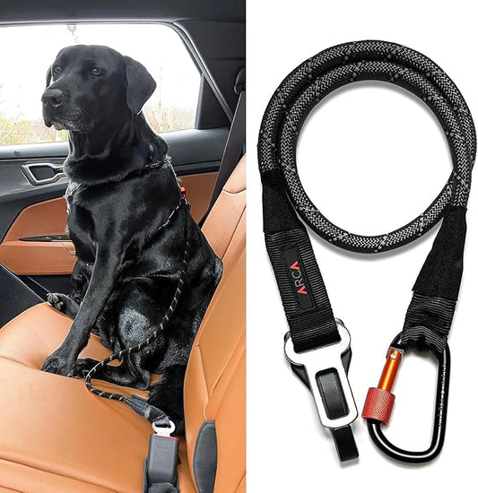 Dog Seat Belt for Car | Universal Dog Car Seatbelt | Durable Reflective Rope with Clip Hook Latch, Buckle and Alloy Carabiner- Safe and Secure Pet Safety Restraint-PawvioPets