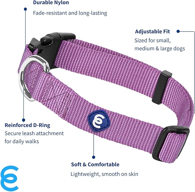 Blueberry Pet Essentials Matching Small Dog Collar | Adjustable Classic Solid Color Nylon Dog Collars for Small Dogs | Purple Dog Collar for Small Dogs-PawvioPets