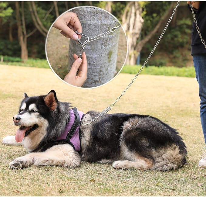 25ft Heavy Duty Chew Proof Dog Tie Out Chain Leash with Shock Absorbing Spring&Lockable Hooks-Up to 200Lbs,Use for Yard,Garden,Camping or Travel-PawvioPets