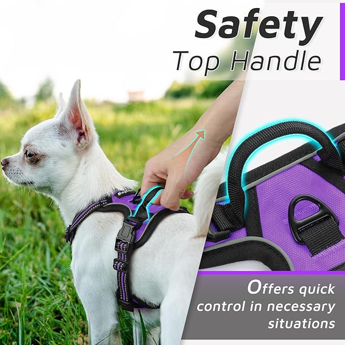 Eagloo Small Dog Harness No Pull, Service Vest with Reflective Strips and Control Handle, Adjustable and Comfortable for Easy Walking, No Choke Pet Harness with 2 Metal Rings, Purple, XS-PawvioPets