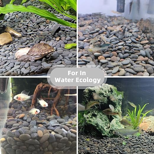 45lb River Rocks Pebbles for Plants & Succulents, Decorative Outdoor Landscaping Garden Rocks, Natural Small Mexican Beach Pebbles Aquarium Rocks Gravel for Fish Tanks Vase Yard Decor-PawvioPets