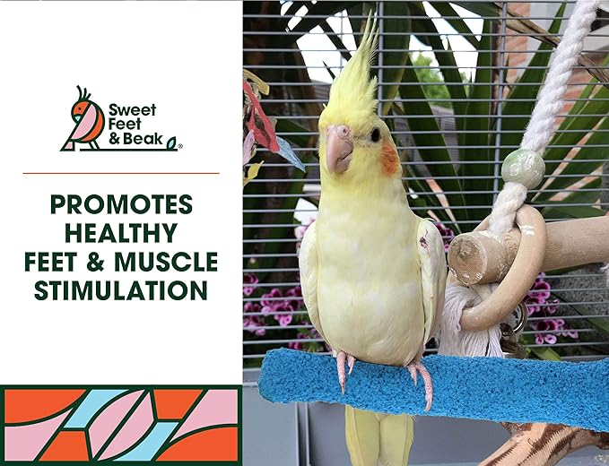 Comfort Grip Safety Perch for Bird Cages - Pedicure Perch for Birds to Keep Nails and Beaks in Top Condition - Safe Easy to Install Bird Cage Accessories - M 8.5"-PawvioPets