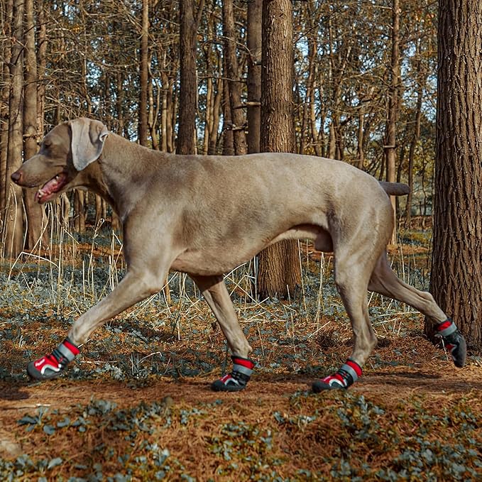 Dog Shoes Winter Snow Boots for Large Size Medium Dogs Reflective Anti-Slip Paw Protectors for Rain Booties Hot Pavement Hardwood Floors Running Water-Resistant Dog Shoes(Red, 2# (2XS))-PawvioPets