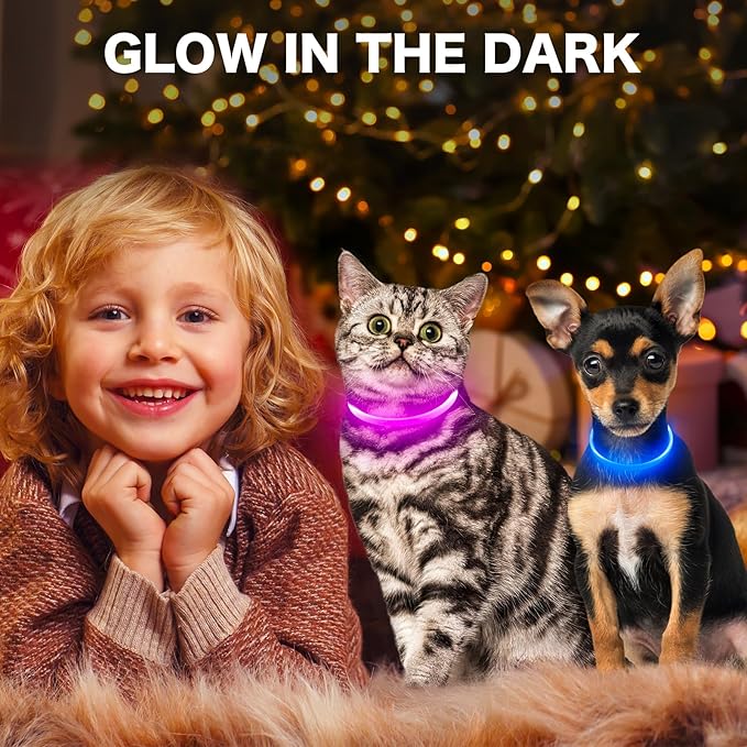 BSEEN Light Up Dog Collar, High Visibility LED Dog Collar Rechargeable- Rainproof TPU Cuttable Glowing Pet Collar for Small Dogs & Cats - Puppy Safety Lights for Night Walking (XS- Blue 40cm)-PawvioPets