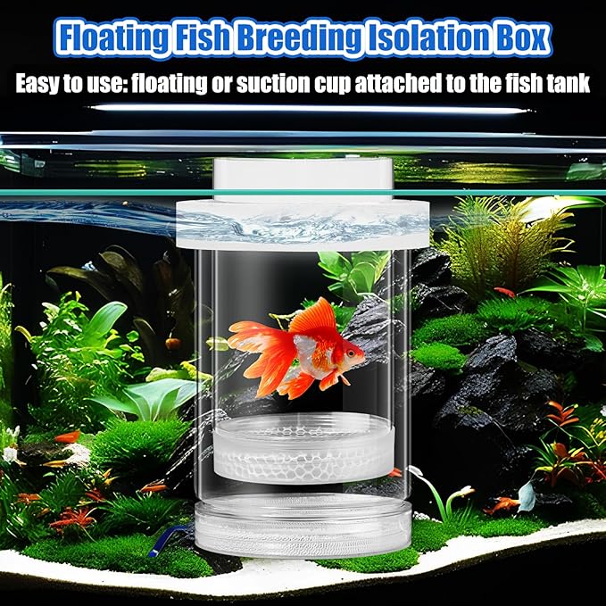 2 Pcs Breeder Box for Fish Tank Aquarium Breeder Separation Net Breeding Box with Suction Cup for Small Fish Shrimp Clownfish Guppy(White,M)-PawvioPets