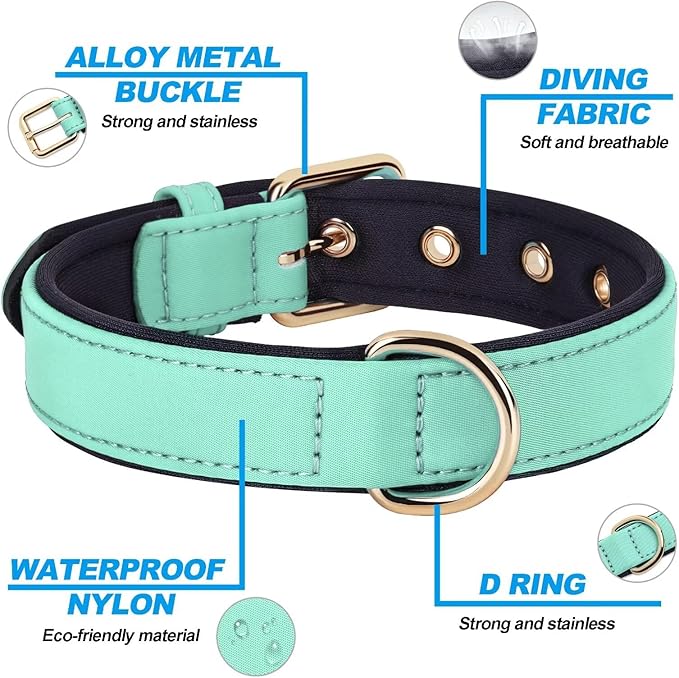 Didog Soft Padded Dog Collars for Medium Dogs, Lightweight and Breathable Dog Collar with Metal Buckle, Green, L-PawvioPets