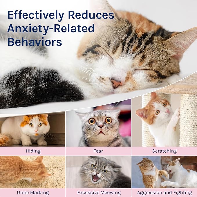 Cat Calming Pheromones Diffuser: 2 Classic Cats Plug in Refill Diffusers for Relaxation & Comfort - Reduce Stress Barking & Scratching - Indoor 60 Days Supply-PawvioPets