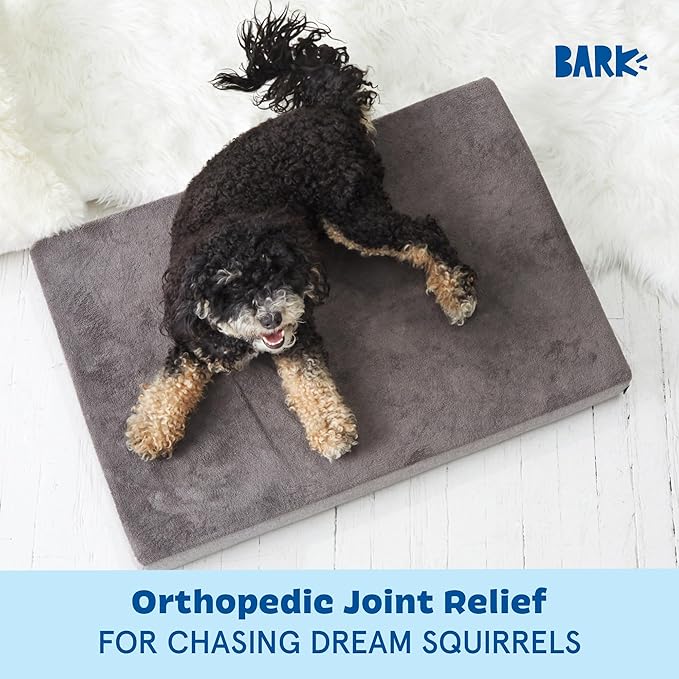 Barkbox Orthopedic Dog Bed with Memory Foam, Premium Comfort for Dogs and Puppies, Dog Beds for Joint Relief and Restful Sleep, Durable and Easy to Clean - Grey, Medium-PawvioPets