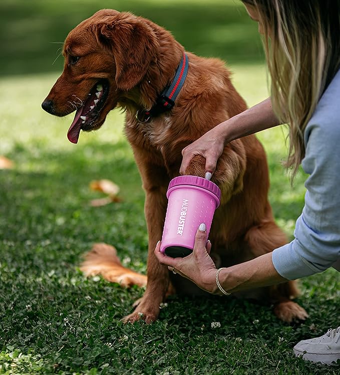 Dexas MudBuster Portable Dog Paw Washer/Paw Cleaner, Medium, Fuchsia-PawvioPets