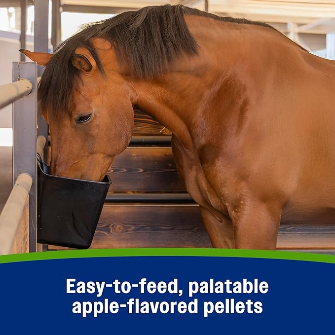 Farnam Apple Elite Electrolyte Supplement for Horses, Replaces Vital Minerals, Encourages Hydration, No Added Sugar, 7.5 lb, 40 Day Supply-PawvioPets