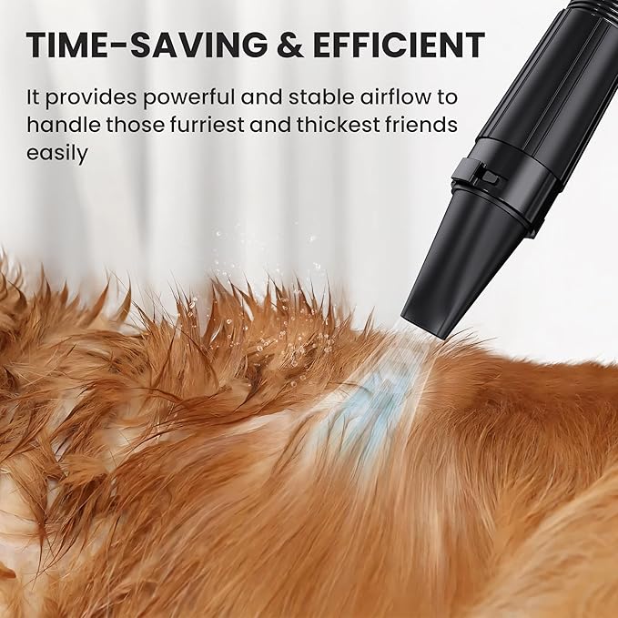 Flying Pig Double Motor High Performance Dog Pet Grooming Dryer (Teal Blue)-PawvioPets