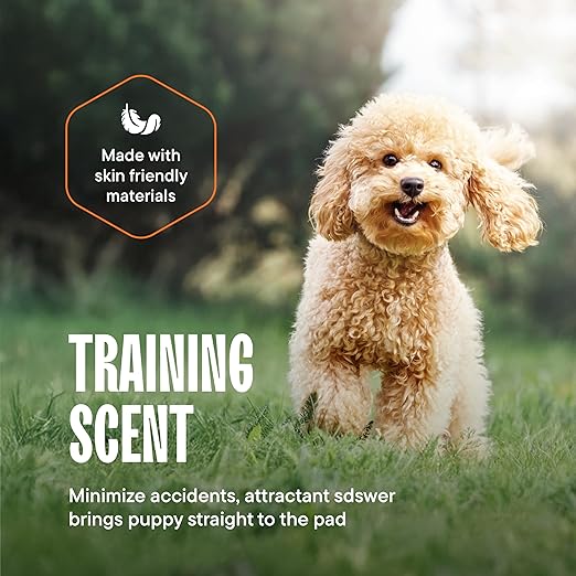 Dog Pads Large Pet Pee Pads for Dogs & Puppy Training 34" x 36" Potty Pads for Dogs [50-COUNT] Leak-Proof Dog and Puppy Pads - Quick-Dry Surface - Heavy Duty Absorbent Disposable Dog Wee Pad Bulk Pack-PawvioPets