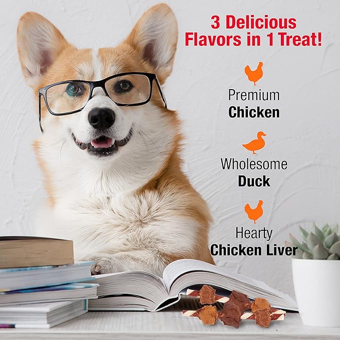 Good'N'Fun Triple Flavored Rawhide Kabobs for Dogs-PawvioPets