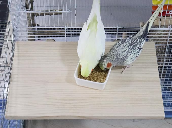 21.7 × 13.8 Inches Large Bird Perch Stand Platform, Natural Wooden Small Animals Cage Accessories, Rectangle Stand Perch Shelf for Parrot Parakeet Cockatiel Rat Hamster Guinea Pig Conure Chinchillas-PawvioPets