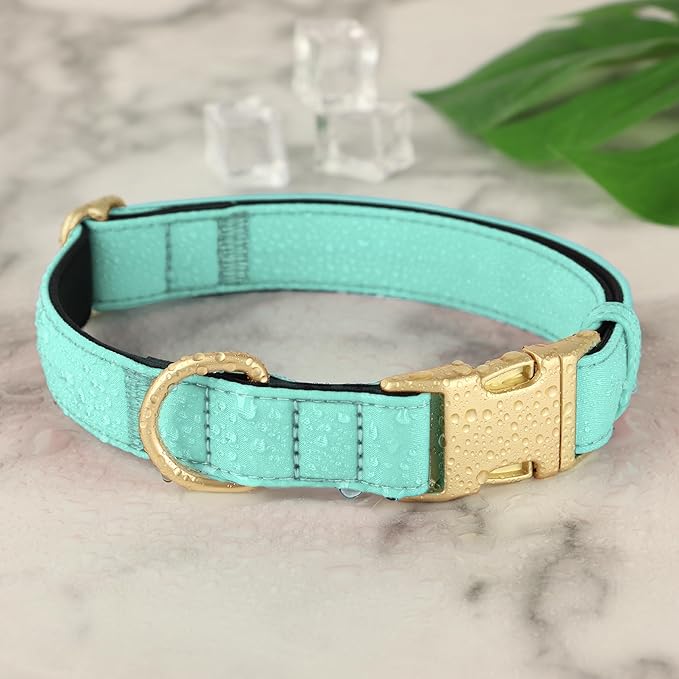 Didog Soft Padded Dog Collars for Medium Dogs, Colorful and Durable Dog Collar with Quick Release Buckle, Light and Breathable for Daily Walking, Green, M-PawvioPets