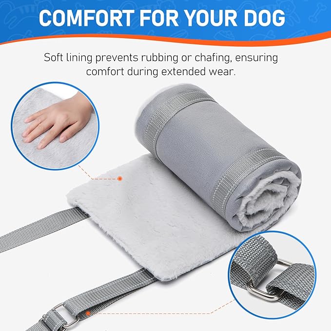 Dog Lift Harness for Small Dogs, Adjustable Dog Sling for Back Legs, Hip Support Harness to Help Lift Dogs Rear for Canine Aid and Old K9 Cruciate Ligament Rehabilitation - Small, Grey-PawvioPets