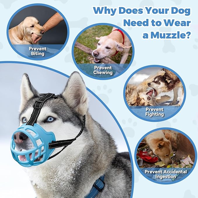 Dog Muzzle for Large Dogs, Breathable Basket Muzzles for Small, Medium and X-Large Aggressive Dog, Allows Panting Drinking, Suitable for Grooming Trimming Training (6, Luminous Blue)-PawvioPets